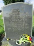 image of grave number 382423